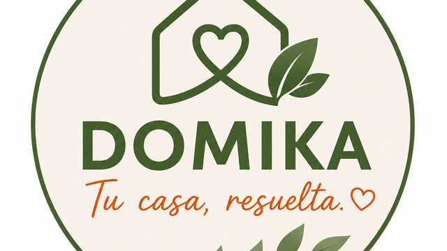 Auxiliar de Ayuda a Domicilio