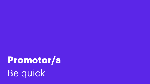 Promotor/a