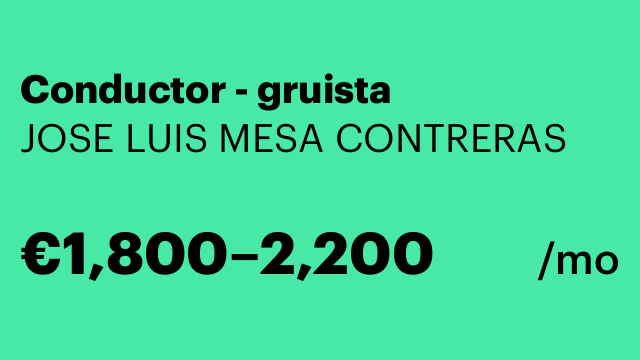 Conductor - gruista