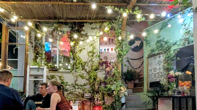 Ayudante de barrra / bartender