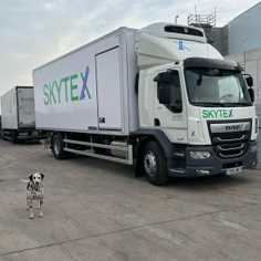 company photo