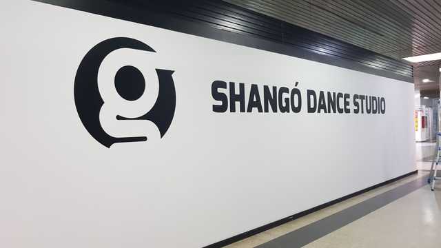 Profesor/a de Danza