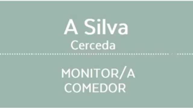 Monitor/a de comedor escolar