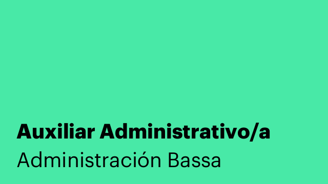 Auxiliar Administrativo/a