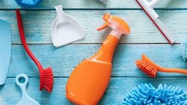 Cleaner