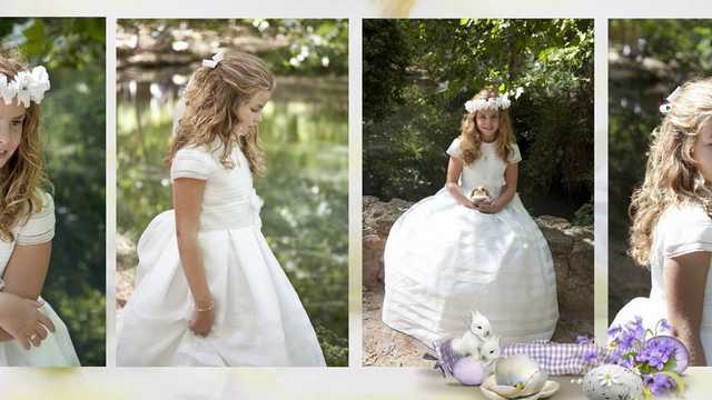 Diseñador/a grafico