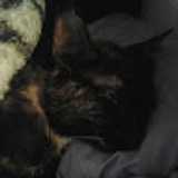 Vicente G. avatar icon