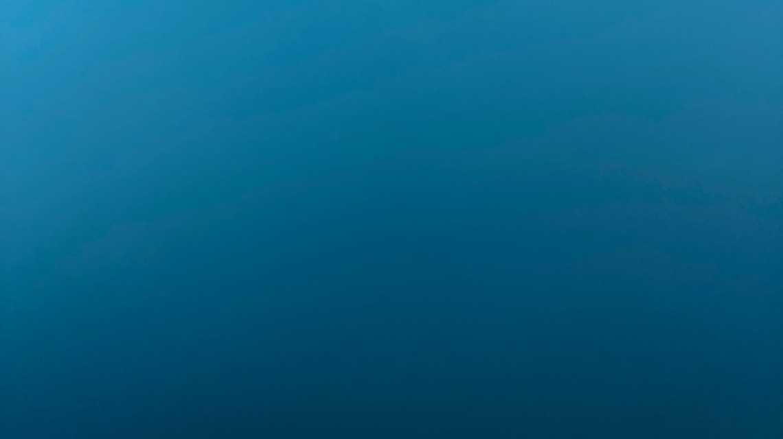 Paggs184 cover image