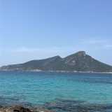 Teresa R. avatar icon