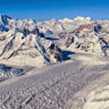 violeta F. avatar icon