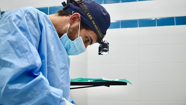 Veterinario/a