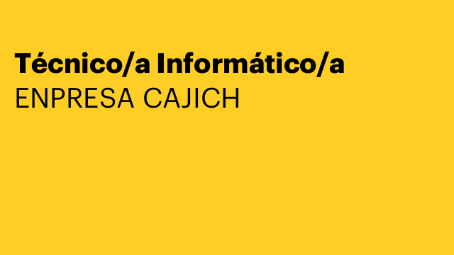Técnico/a Informático/a