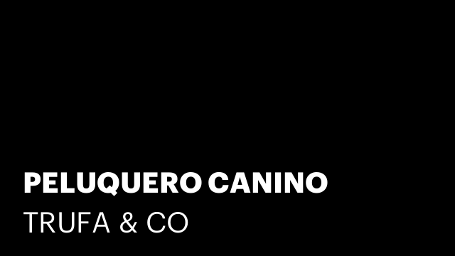 PELUQUERO CANINO