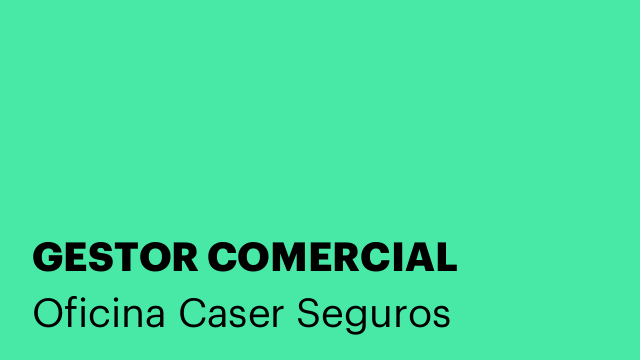 GESTOR COMERCIAL