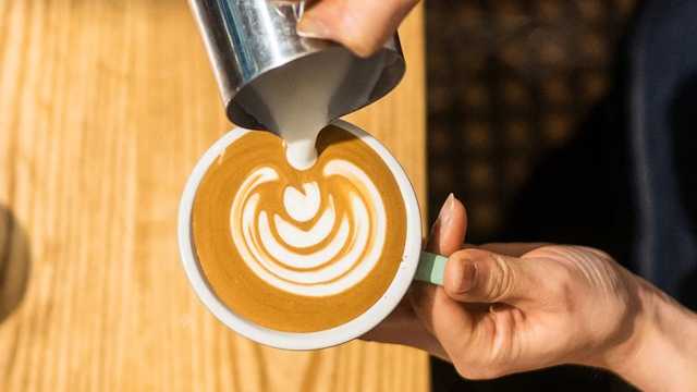 Barista