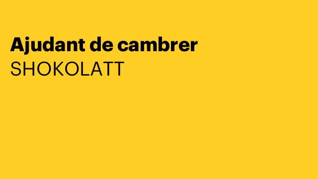 Ajudant de cambrer