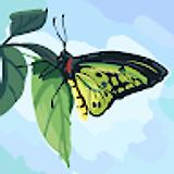 Saini N. avatar icon