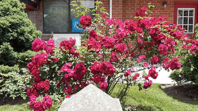 Kitchen Aide (Substitute Position) – Kosher Facility