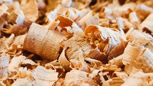 Carpintero/a Montador/a