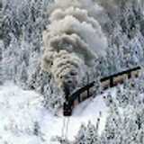 Dolores G. avatar icon