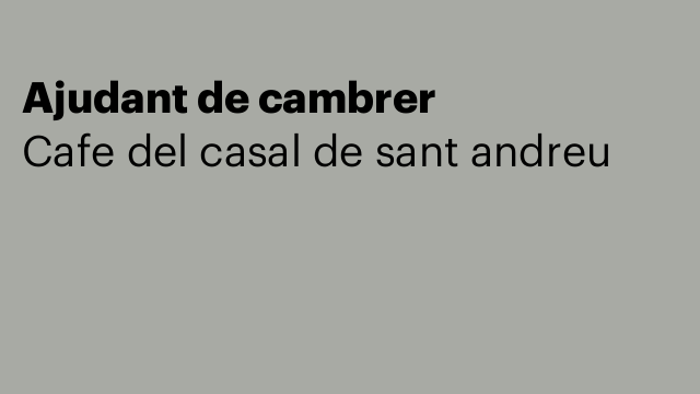Ajudant de cambrer