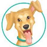 Fundación T. avatar icon