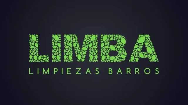Limpiador/a