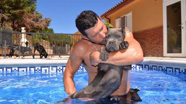 Cuidador canino