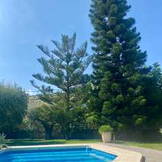 company photo