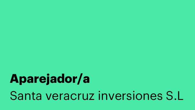 Aparejador/a
