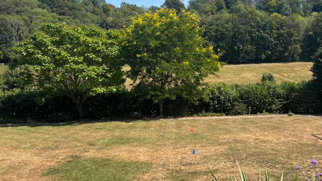 Experienced Gardener