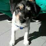 Antonio G. avatar icon