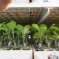 company photo