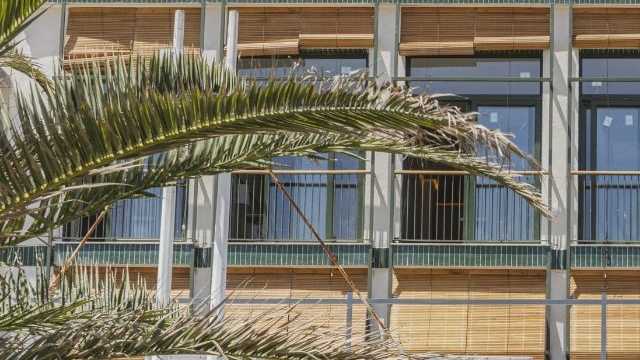 Cocinero/a Restaurante