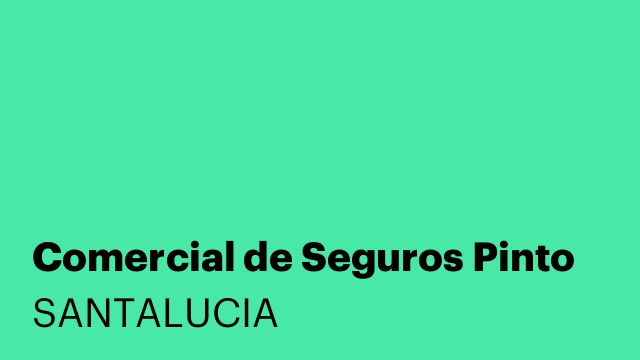 Comercial de Seguros Pinto