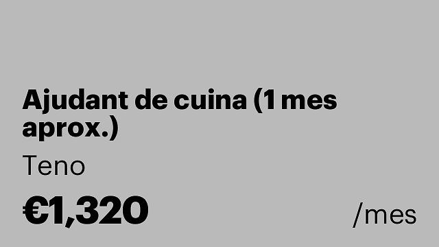 Ajudant de cuina (1 mes aprox.)