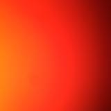 Carolina B. avatar icon