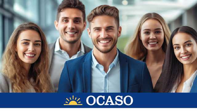 AGENTE COMERCIAL ZONA DE NALON