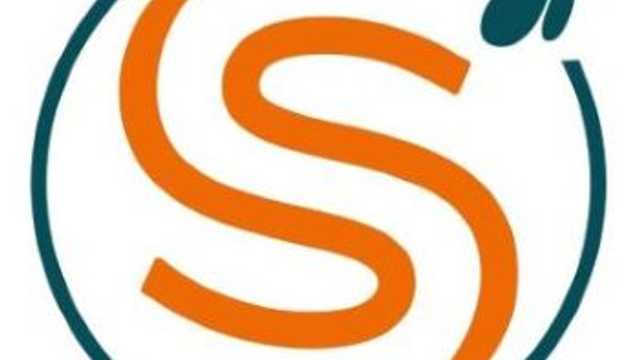 AGENTE INMOBILIARIO