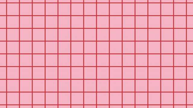 Cocinero/a y Ayudante/a de Cocina