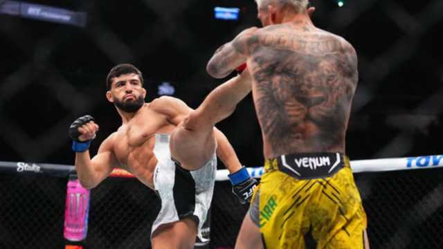 Profesor Muay Thai, MMA, BJJ