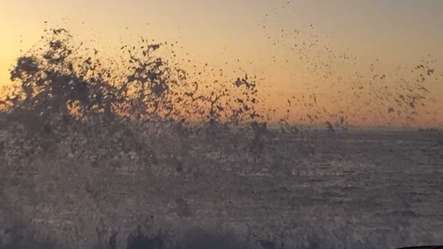 Camarero/a de Sala/Terraza