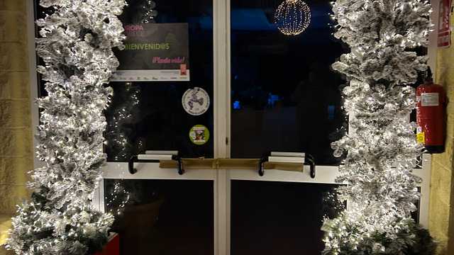 AUXILIAR CENTRO JARDINERIA