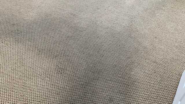 House Cleaner