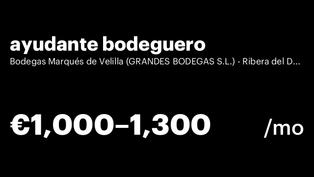 ayudante bodeguero