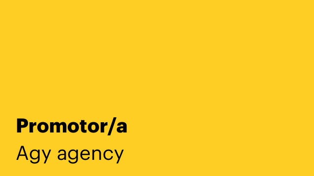 Promotor/a