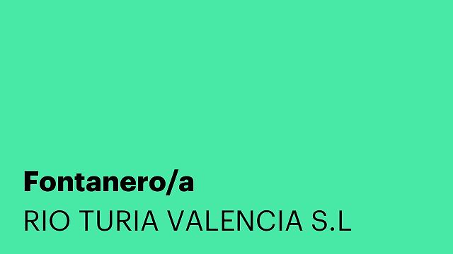 Fontanero/a