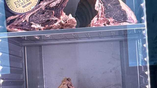 Camarero/a / Barista