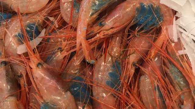 Ayudante/a de Cocinero/a