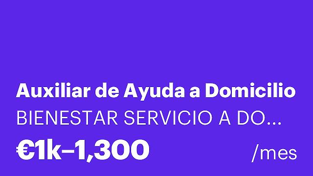 Auxiliar de Ayuda a Domicilio